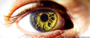 centre-for-sight-afric-systemic-diseases